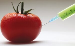 A Cockwork Tomato1