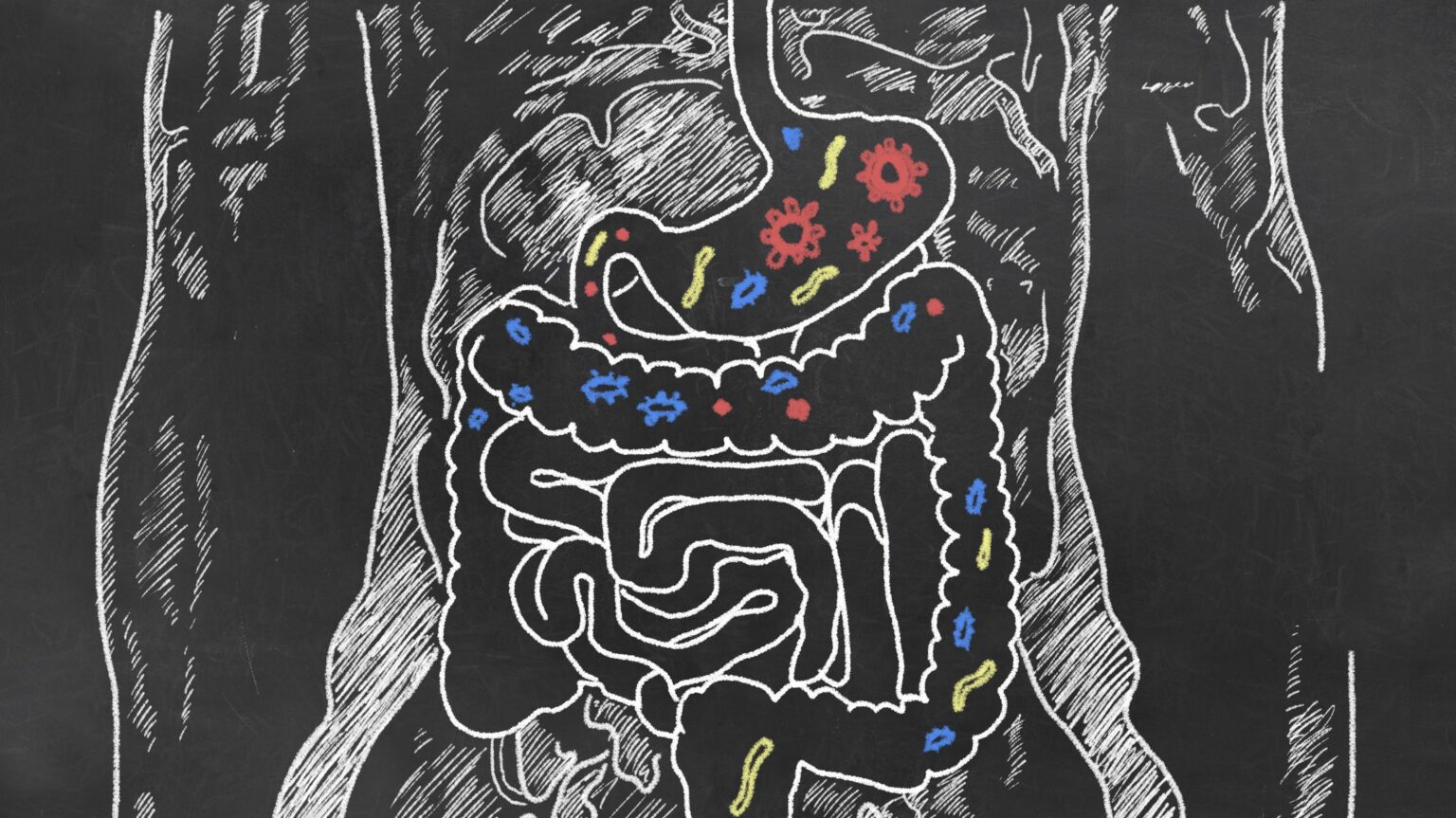 8 facts stomach 21 1536x863 1