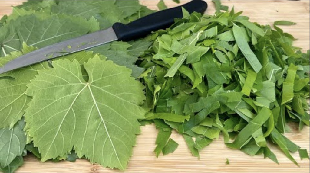 лапа от лозови листа