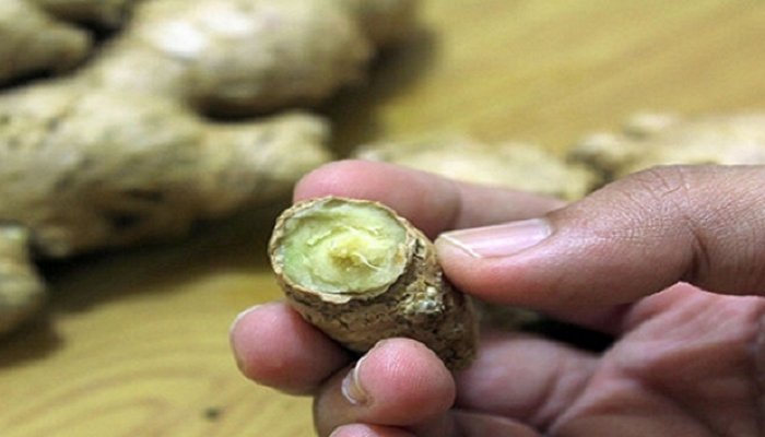лечение на брадавици папиломи старчески петна бенки