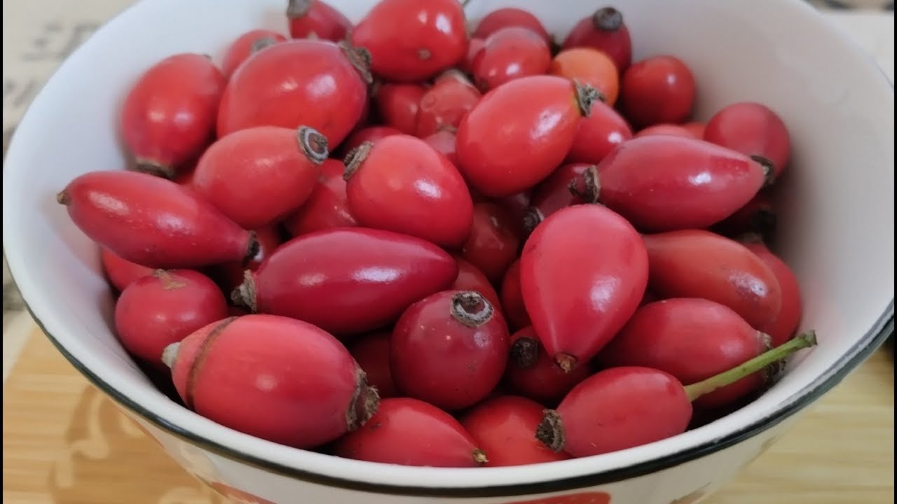шипка есенен плод