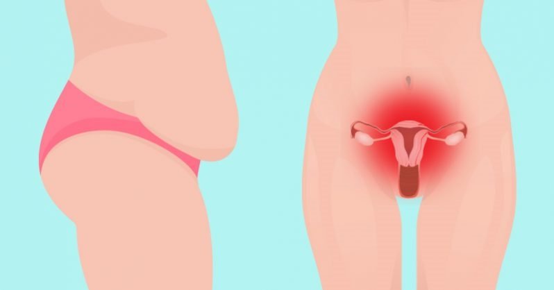 Menopausal Weight Gain 4 Hormones Other Than Estrogen That Need Your Attention