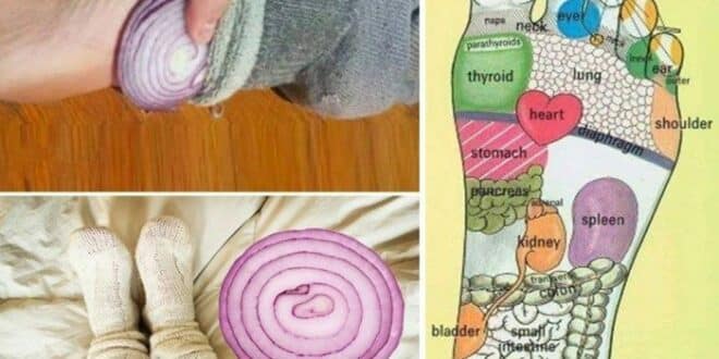 eht4erfd 1